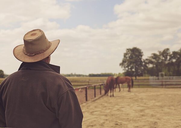 An unforgettable experience during the Stampede in Rotorua